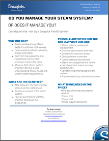 Swagelok steam systems engineer