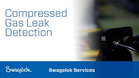 Swagelok compressed gas leak detection