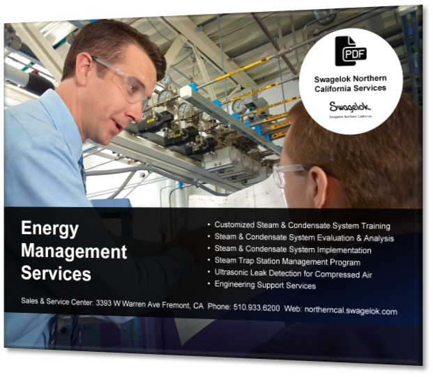 Energy Management Services and Training Swagelok California