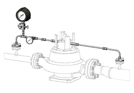 Process Side Mechanical Seal Support Flushing