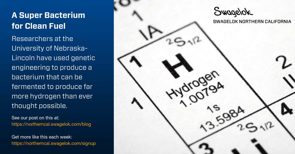 A Super Bacterium for Clean Fuel