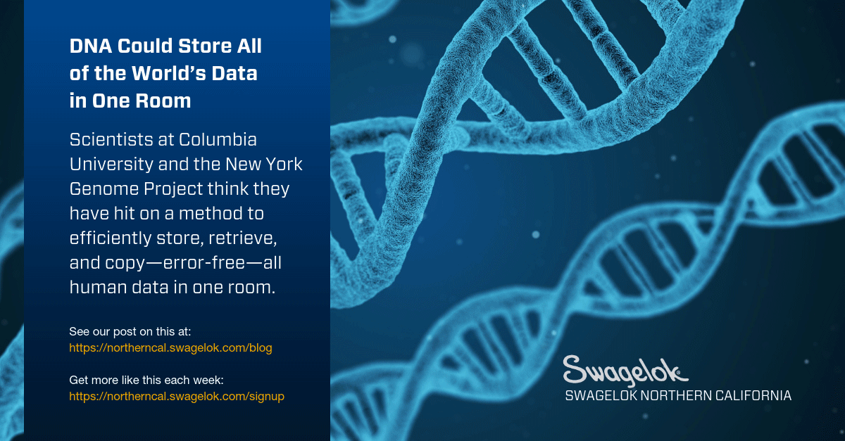 DNA Could Store All of the World’s Data in One Room
