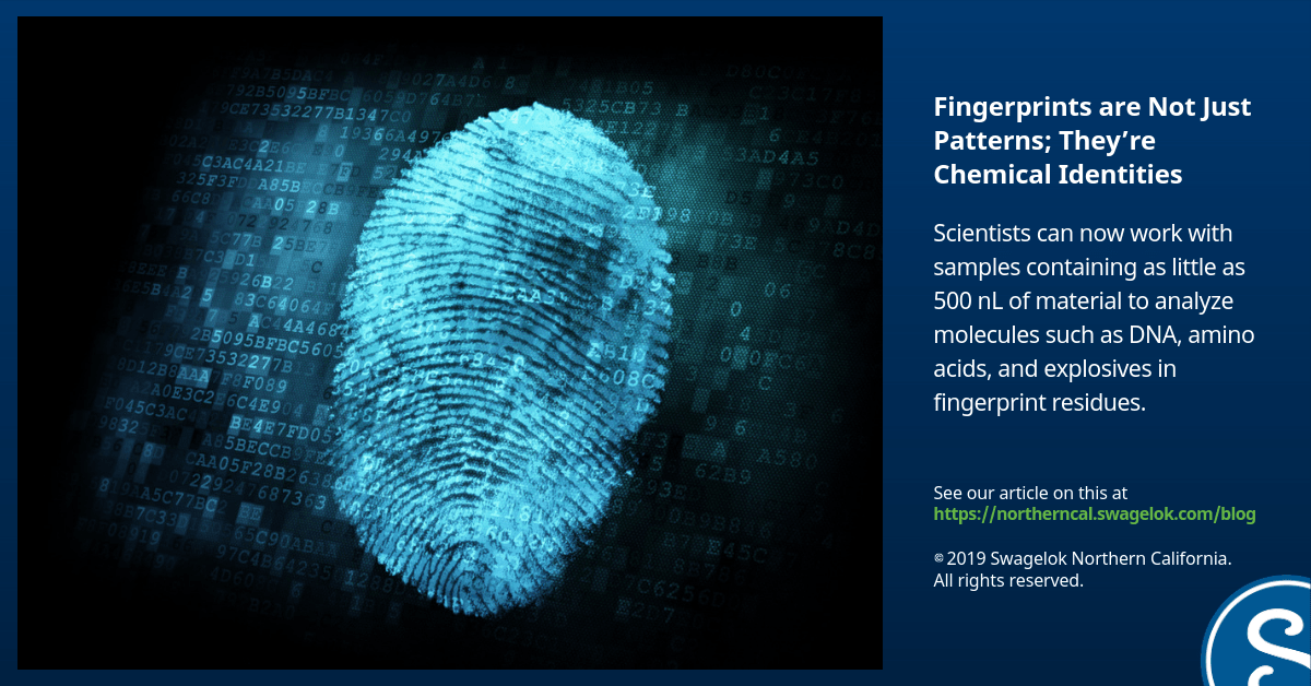 Fingerprints are More Than Just Patterns; They’re Chemical Identities