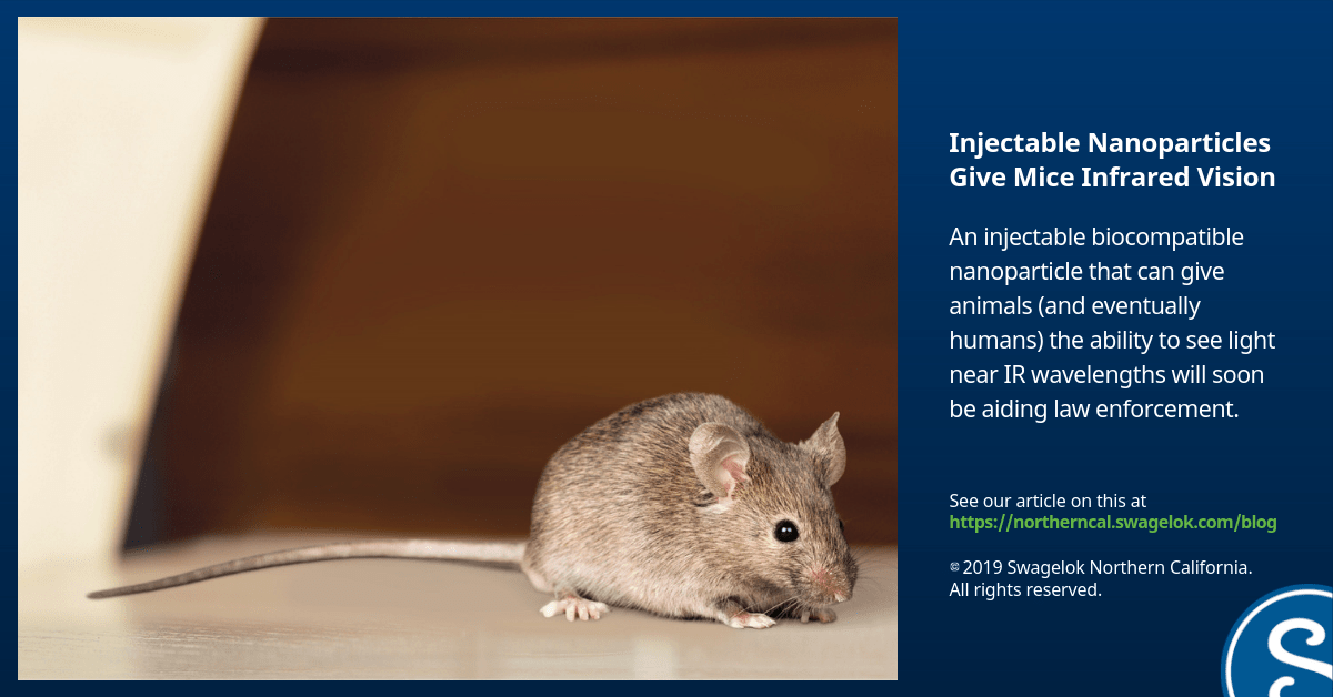 Injectable Nanoparticles Give Mice Infrared Vision