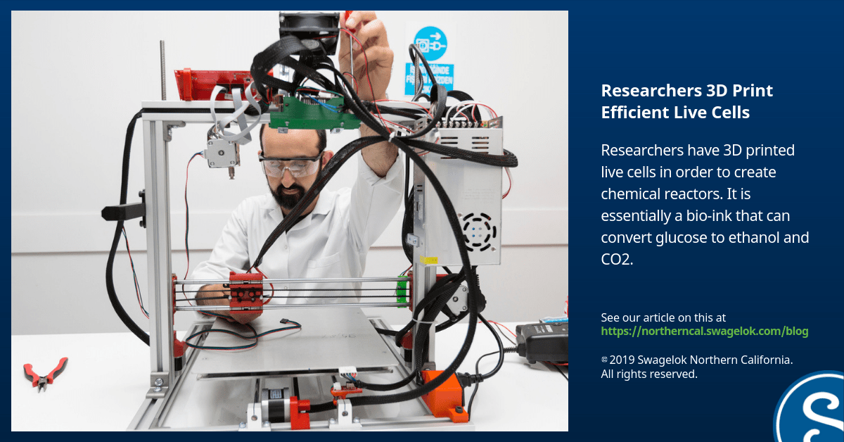 Researchers 3D Print Efficient Live Cells