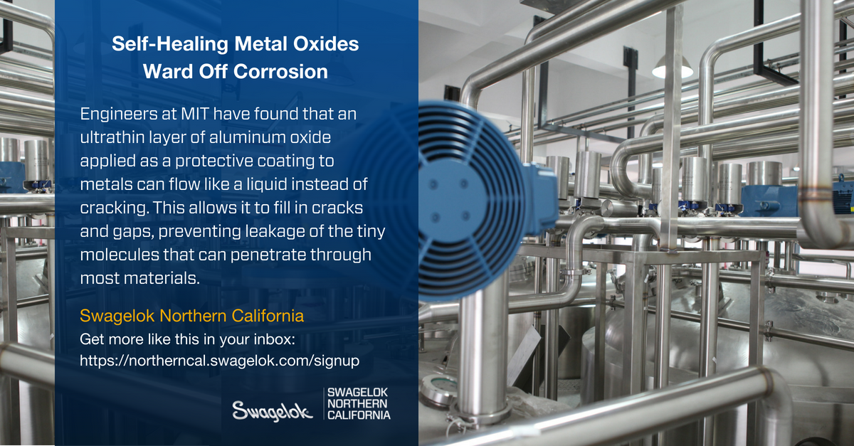 Self-Healing Metal Oxides Ward Off Corrosion