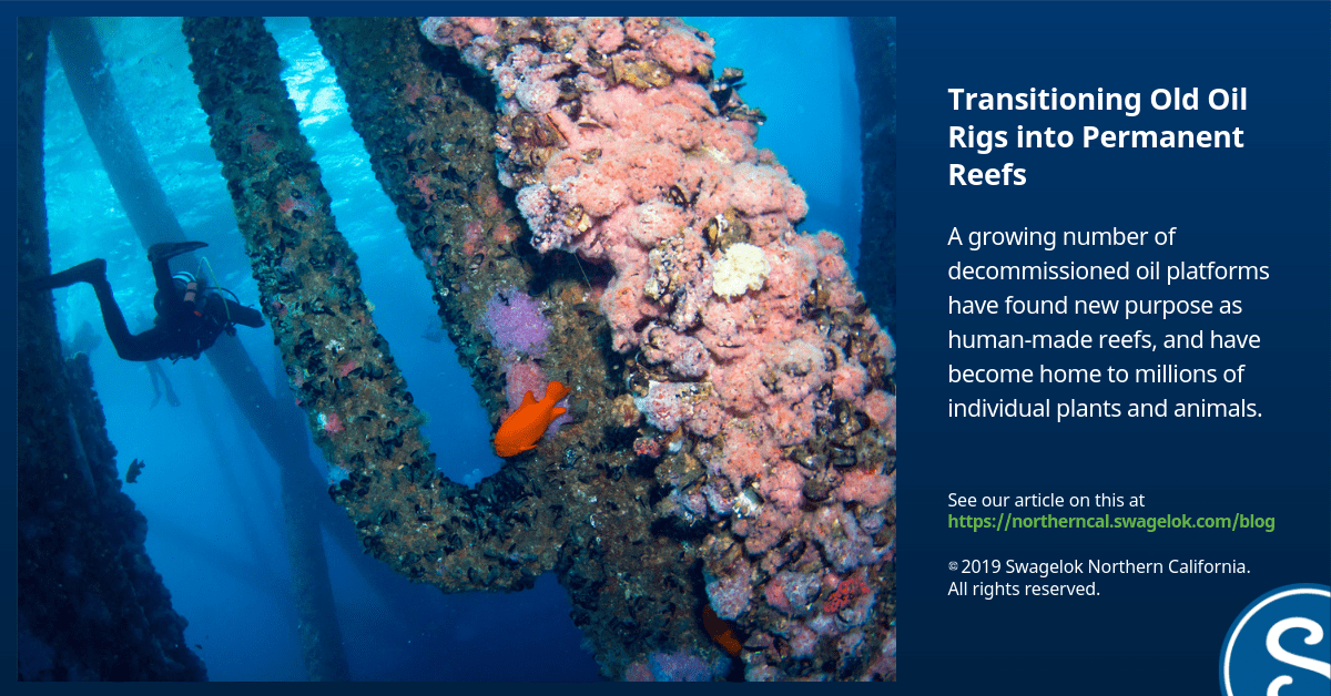 Transitioning Old Oil Rigs into Permanent Reefs