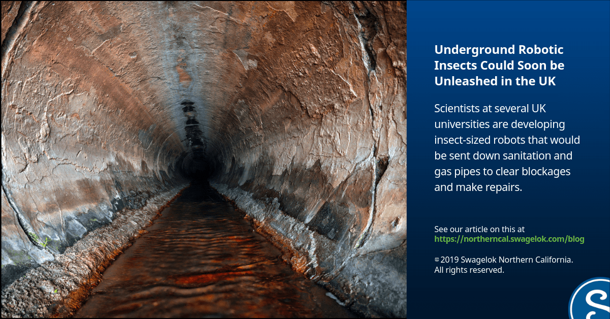 Underground Robotic Insects Could Soon be Unleashed in the UK